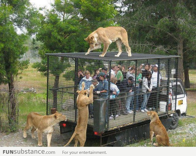 Soviet Russia’s zoo