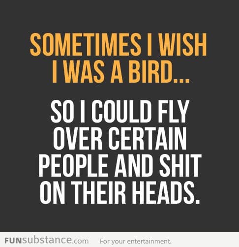 I wish I was a bird...