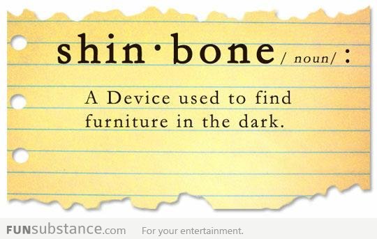 Shinbone