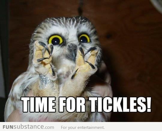 Time for tickles!