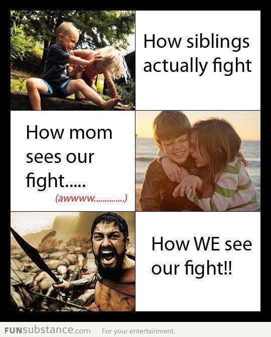 How Siblings Actually Fight