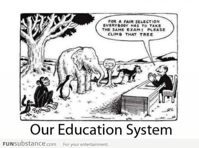 This is our education system