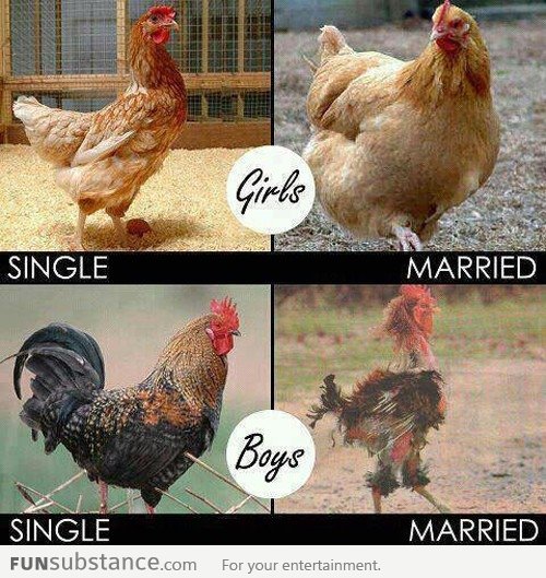 The Effects Of Marriage