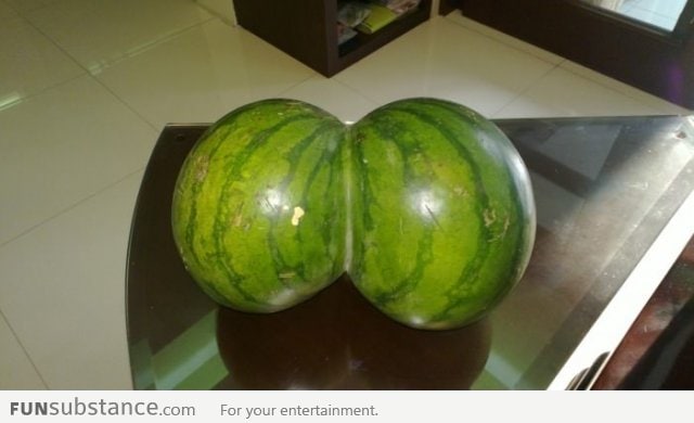 Mother of Watermelons!