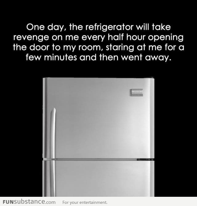 The refrigerator will take revenge on me on day