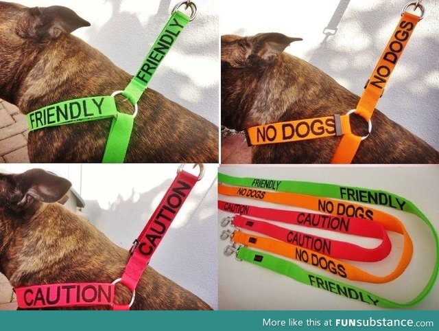 A good idea for dog owners