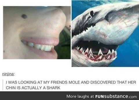 Sharky chin