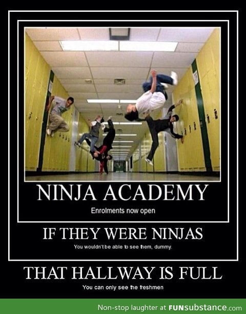 Ninja academy