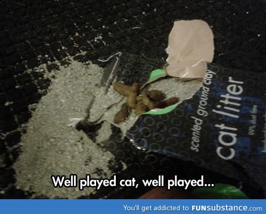Well played cat