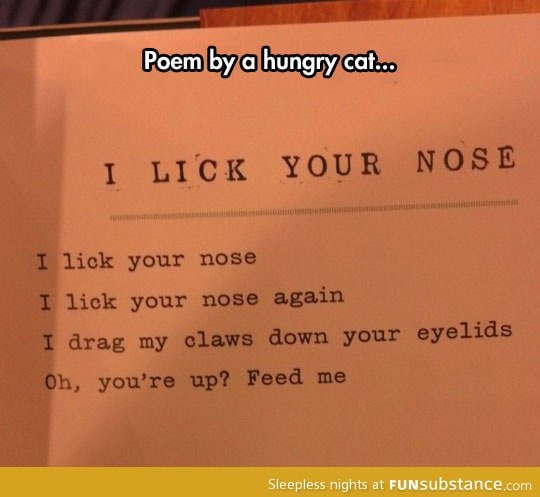 Hungry cat poem