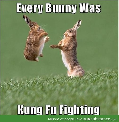 I love bunny-related humor