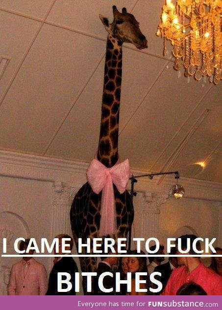 Sir Giraffe in a Party