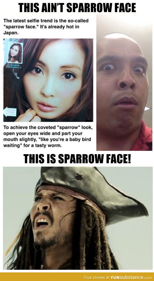 The real sparrow face