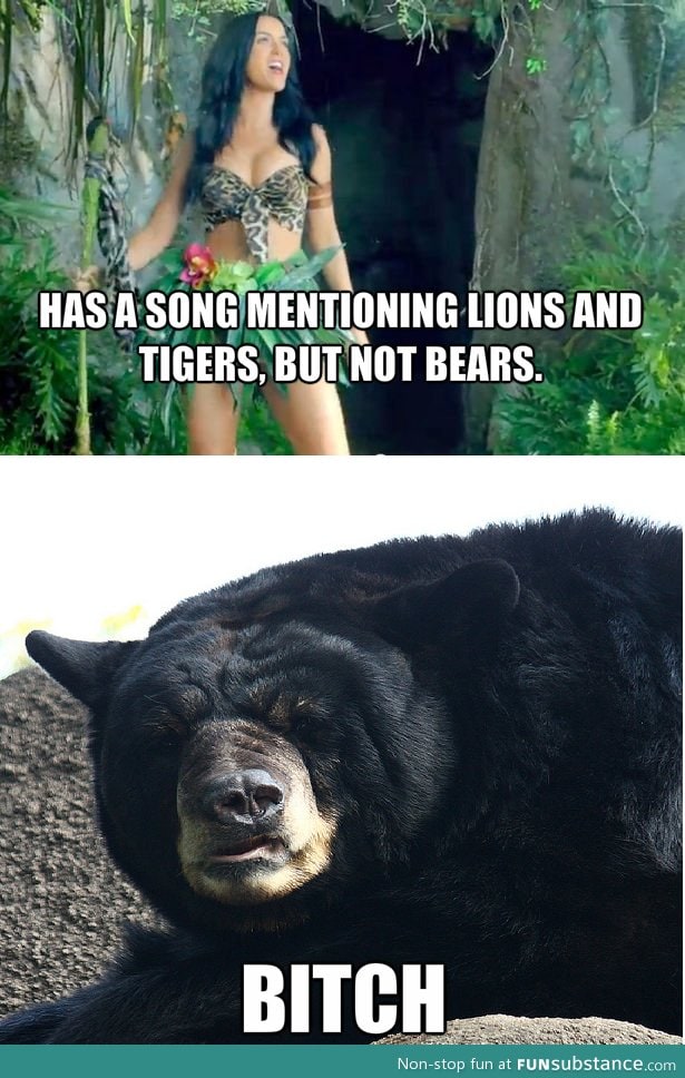 Katy perry making bears mad