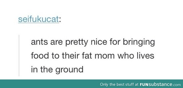 Fat Mum