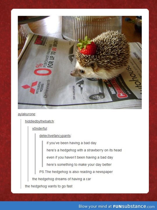 The hedgehog wants to go fast