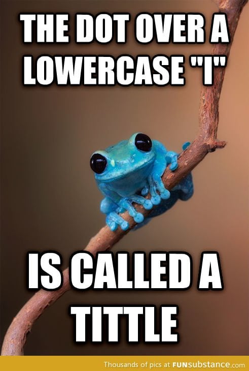 Small Fact Frog With a Tiny Fact