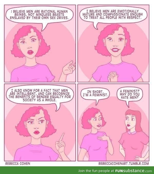 Feminist bashing