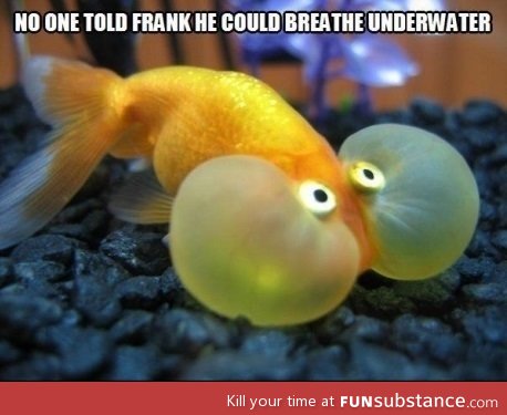 You can breathe underwater dude