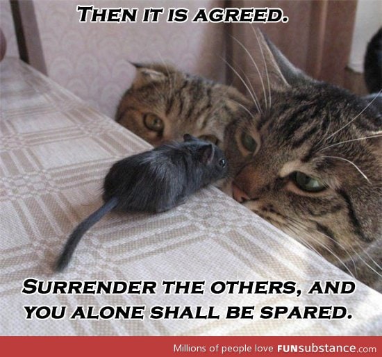 Surrender the others
