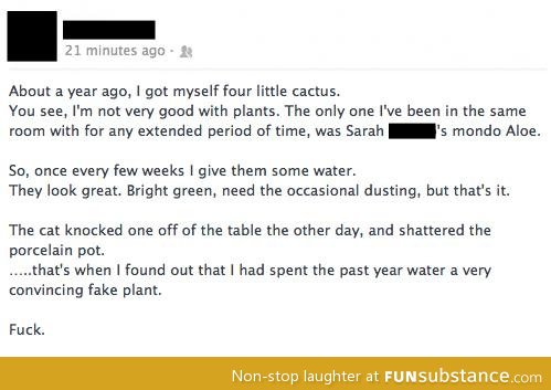 The Story of the Cactus
