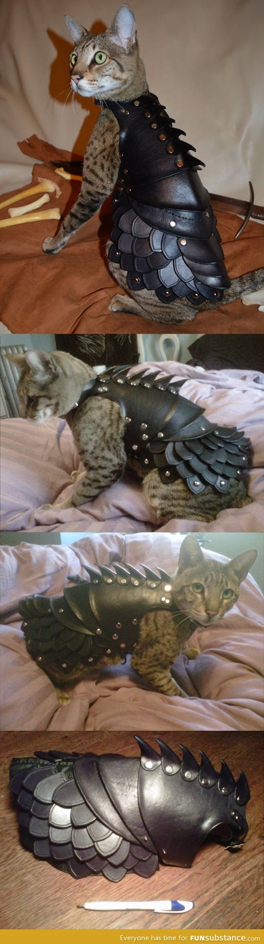 Cat leather armor