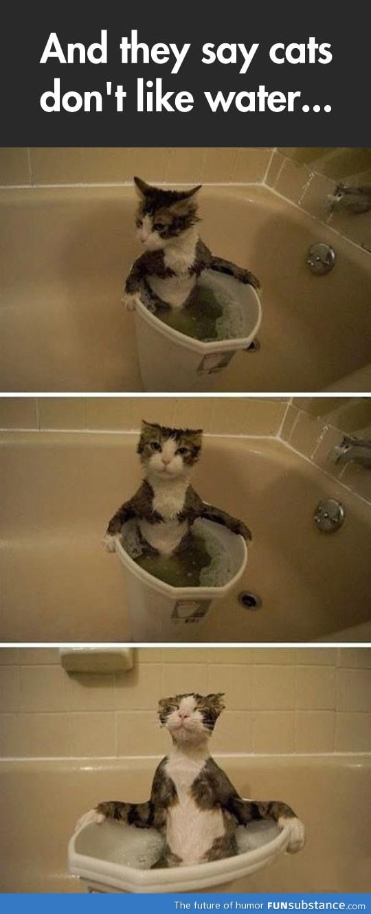 Who says cats don't like water?