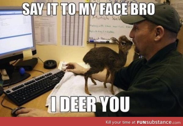 Deer Ya