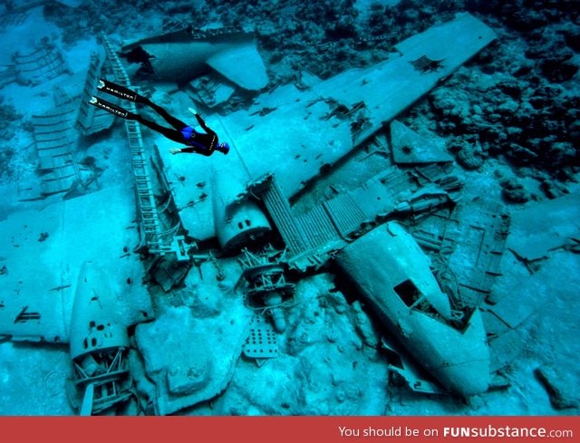 A breathtaking photo of an underwater ;plane wreck