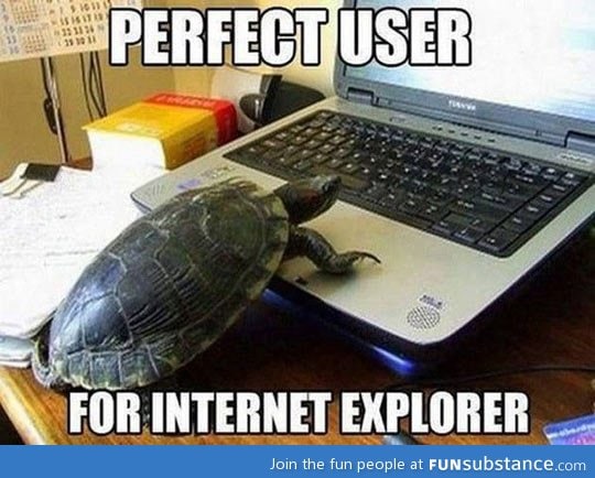 Perfect Internet explorer user