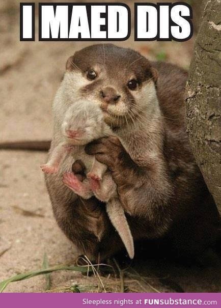 I made dis otter baby