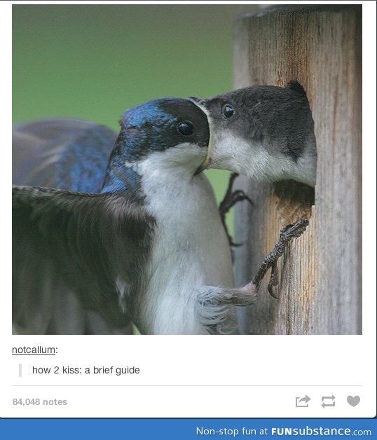 How to kiss
