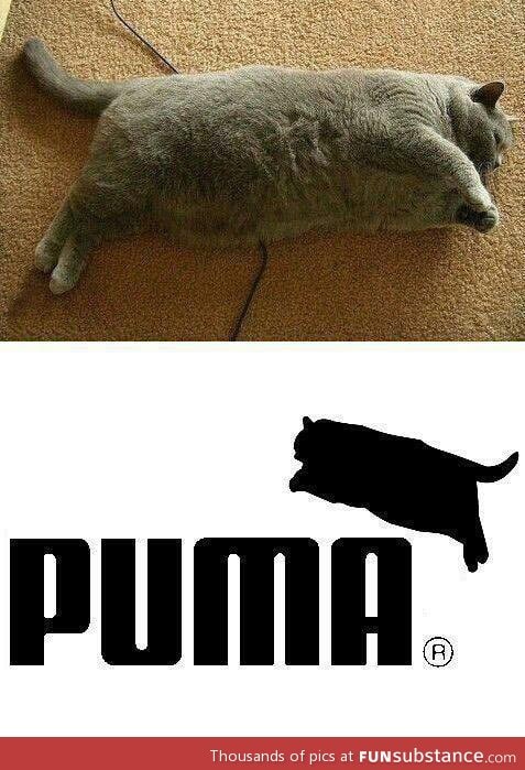 Puma's new logo