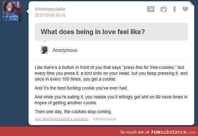 Love as described by Tumblr