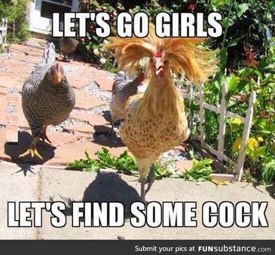 When chicks go out