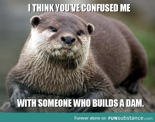 Must have been some otter guy