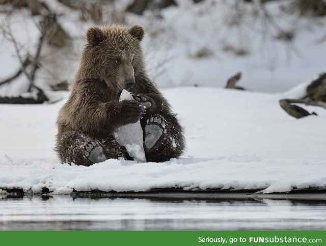 I like this bear, especially his feet