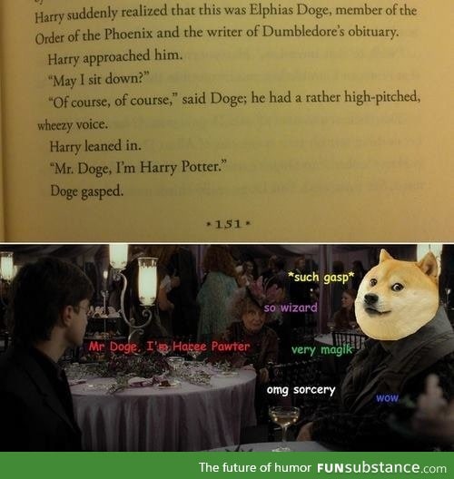 Doge in Harry Potter