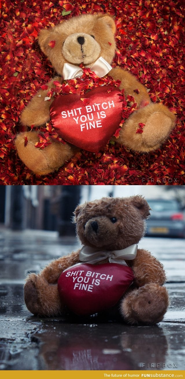A very honest Teddy Bear!
