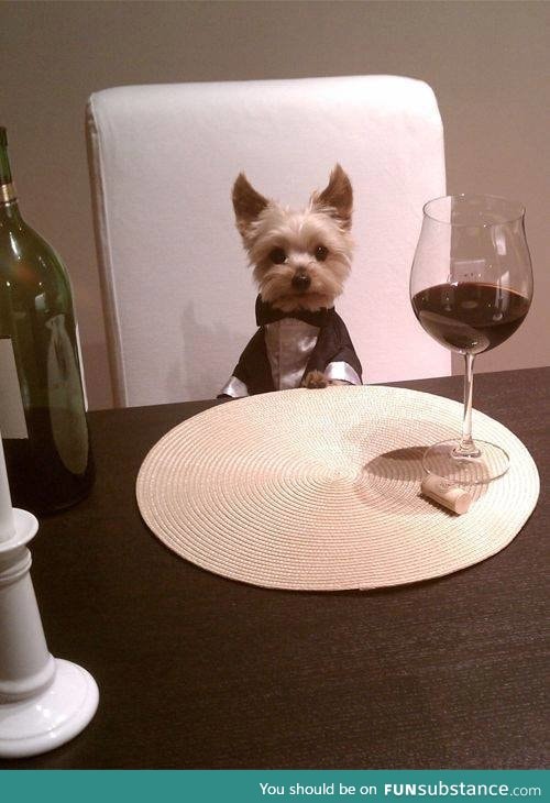 Dressed up and ready for dinner.