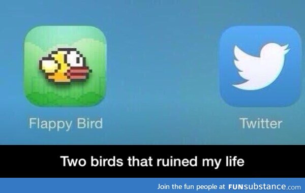 The two birds that ruined my life