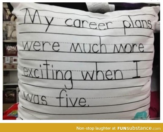My career plans back then