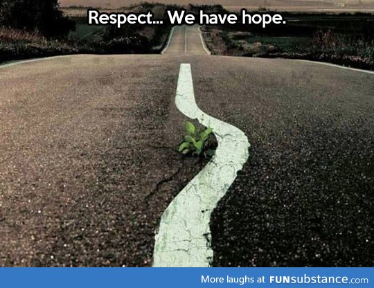 Hope in the road
