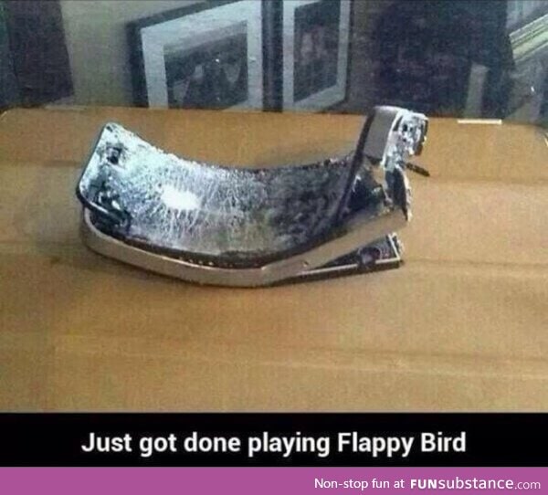 Just Got Done Playing Flappy Bird