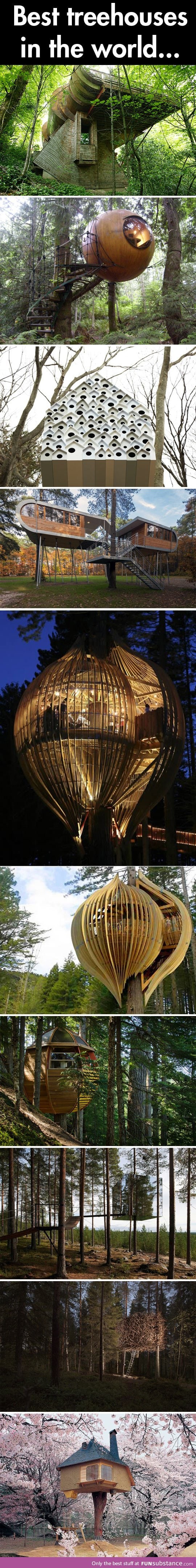 Tree houses of the world