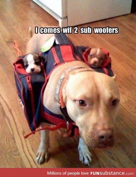 I come with 2 subwoofers!