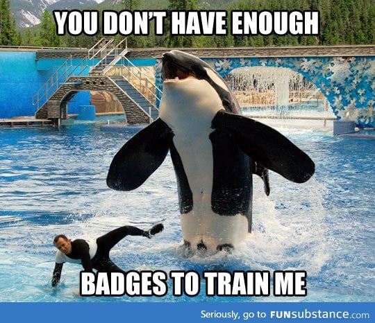 Whale trainer needs more badges