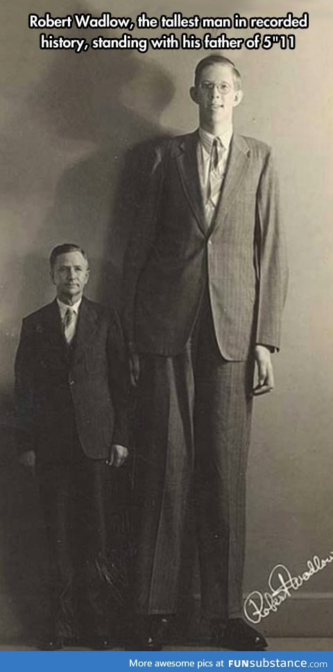 The tallest man in History