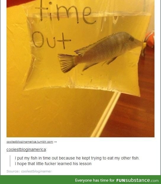 Bad Fishy!