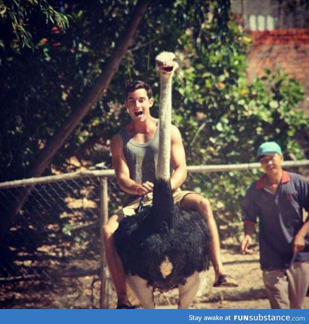 The Ostrich's face though...